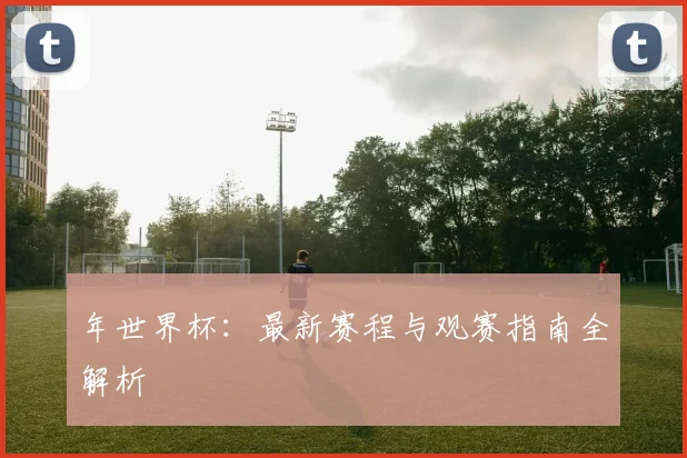 年世界杯：最新赛程与观赛指南全解析